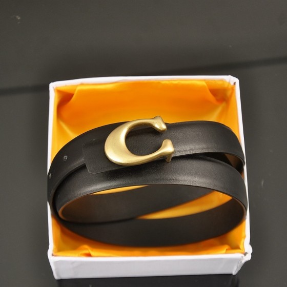 2025 New Arrival: Trendy Fashion Belts for Men and Women