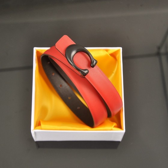 2025 New Arrival: Trendy Fashion Belts for Men and Women